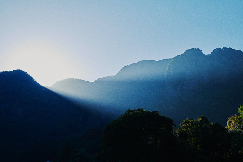 畑萬陶苑 online shop キャンペーン〈新春・初売り〉