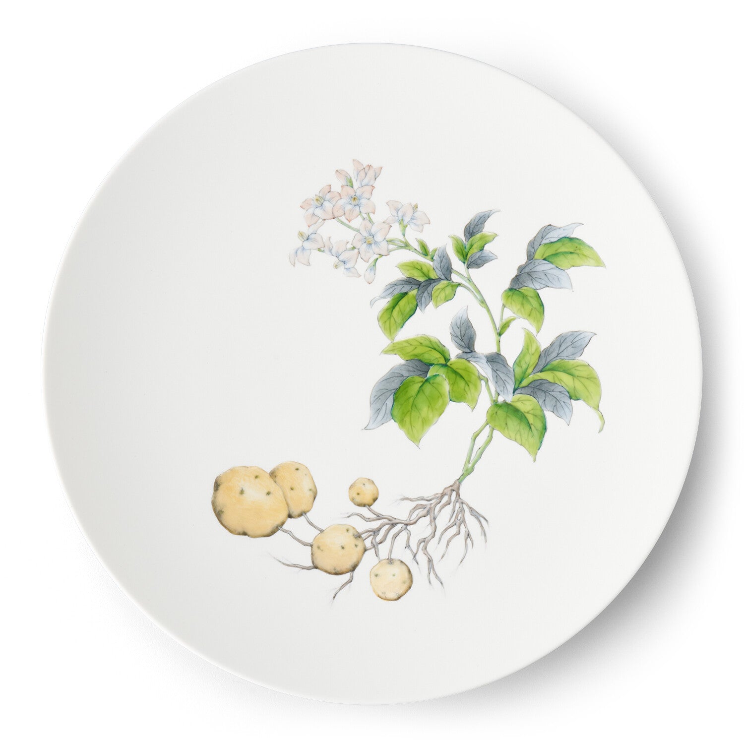 【Eurus】畑萬陶苑セット 全商品 | 畑萬陶苑 ONLINE SHOP