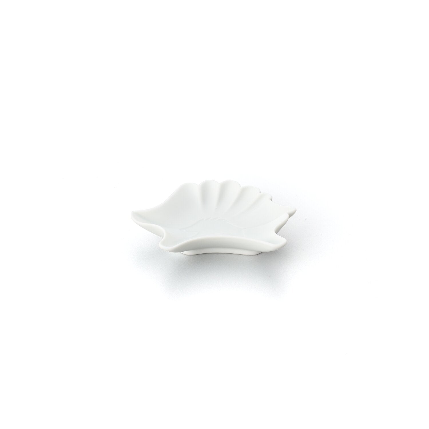 モイスト | 畑萬陶苑 ONLINE SHOP モイスト | 畑萬陶苑 ONLINE SHOP